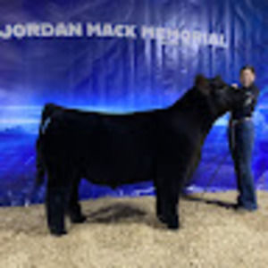 Meet your Posher, Emma